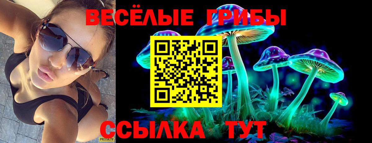 Галлюциногенные грибы Psilocybine cubensis Верхняя Салда
