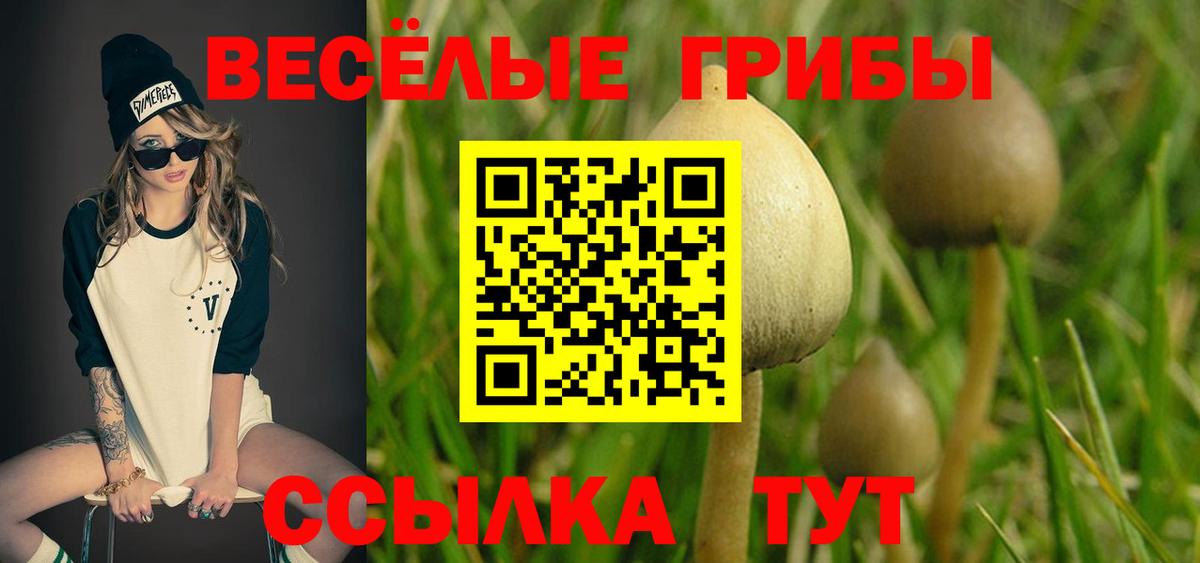 Псилоцибиновые грибы Cubensis  Вход с VPN  Галлюциногенные грибы ЛСД  где купить наркоту  Верхняя Салда 